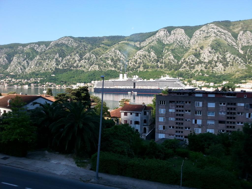 Apartment Kralj Kotor Zimmer foto