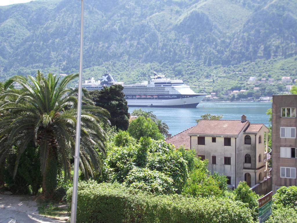 Apartment Kralj Kotor Zimmer foto